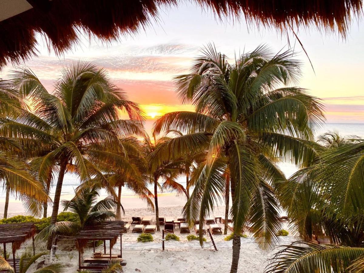 Selina Shared Los Lirios Tulum Extérieur photo